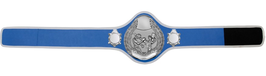 THAI BOXING CHAMPIONSHIP BELT-PRO301/S/TBOS- 10 + COLOURS THAI BOXING CHAMPIONSHIP BELT-PRO301/S/TBOS- 10 + COLOURS